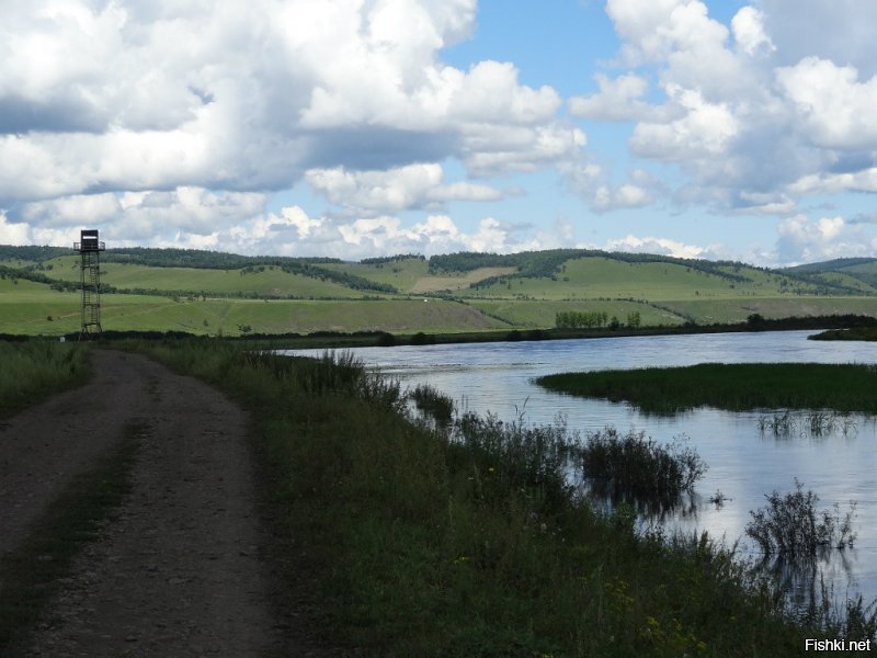 Родные просторы: несколько характерных русских пейзажей