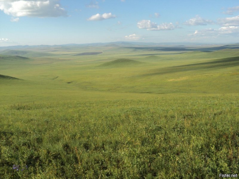 Добавлю родное Забайкалье.....