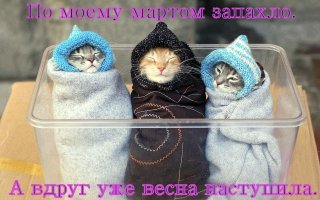 Неутешительные итоги первого дня весны