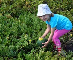Негры задолбали в таких топах. У них там что - комплекс неполноценности развился навсегда к африканцам?  Поехали бы в наши деревни в глубинку..