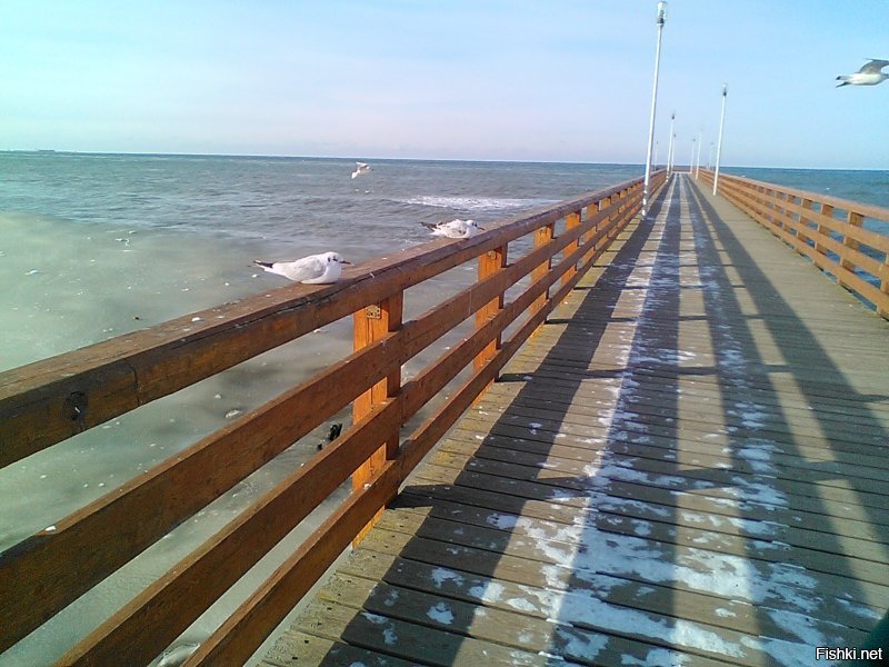 А мне пофиг. Люблю разную погоду. Вот вчера морозяка и ветрище, а я утеплилась и гулять. Вон какую красоту увидела, а могла бы дома в комп втуплять.