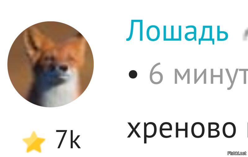 Бросается в глаза диссонанс какой то......