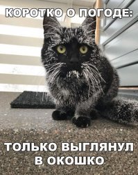 Картинки с надписями для настроения