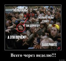 Свежая подборка демотиваторов, которые поднимут вам настроение