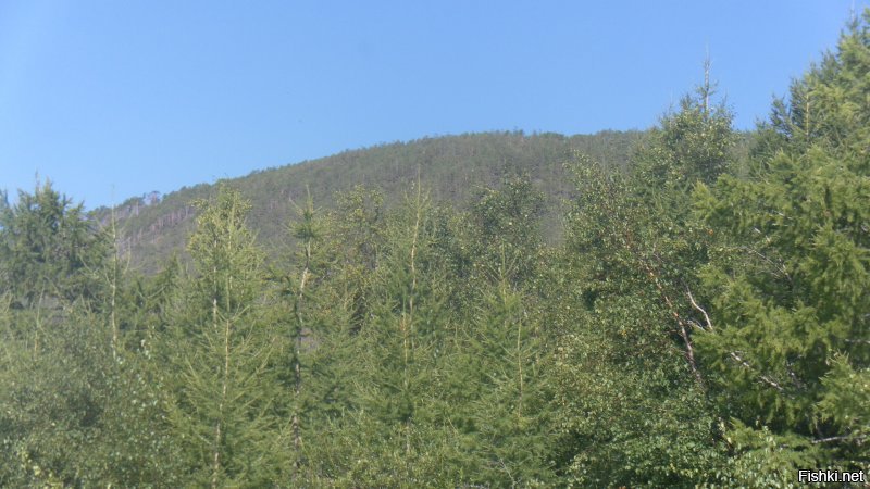 Летом 2 августа были между Сармой и Курмой на отдыхе,вот несколько фоток,за качество извиняйте!