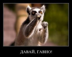 Когда силой мериться пойдём?