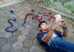 Показалось?