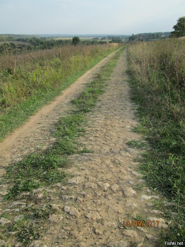 Ездила осенью к другу в Коломну на экскурсию, действительно - там в основном любопытен сам Кремль и музеи, которые почти все находятся рядом с ним. Обойти можно быстро, но.... Привлекают улочки в центральной, исторической части, с резными наличниками, тихие и спокойные, такие уютные дома... Фотки смотрите. А вот почему автор не упомянул место сбора к Куликовой битве с чудесной сохранившеся с 19 века дорогой рядом? А музей трамваев на реконструкции осенью был...
Я оттуда привезла домой маслят))) пока шли туда, да и вообще природа там прелесть как хороша!   А на берегу Оки растет мордовник шароголовый, растение из Красной книги)