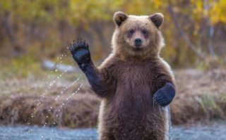 Выходишь утром а там этот парень