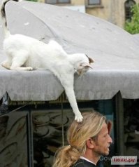 Парень преобразился, сбросив 33 кило, но всех поражает его причёска