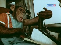 Новые приключения Дони и Микки, 
1973 год, Творческое объединение "Экран"