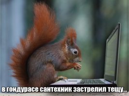 На кампусе Университета Сентрал Мичиган застрелены двое, убийца скрылся