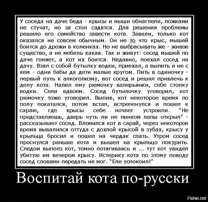 Очень забавный рассказ. «МЫ с женой решили купить животное»