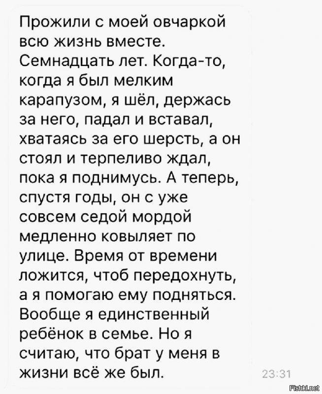 Натурально трогательно.