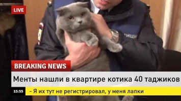 Смешные комментарии и высказывания из социальных сетей