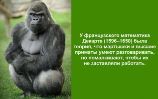 Как родители мне дали понять, что инициатива наказуема