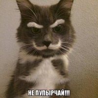 "До роддома не доедем!" Фельдшер — о драматичных родах на трассе