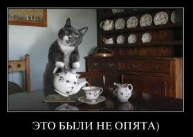 Картинки, юмор, приколы