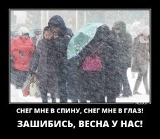 Картинки, юмор, приколы