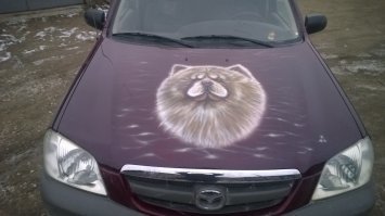 иногда друзьям делаю .
