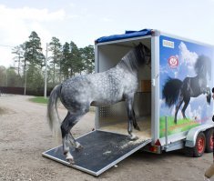 Врядли. Коневоза в кортеже не было