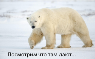 У песца Пушистика появились подражатели - теперь подруга черная