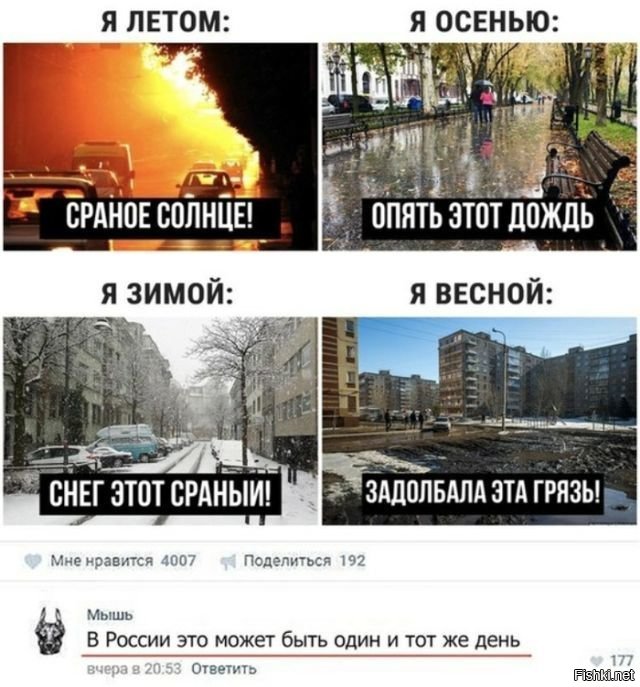 Картинки, юмор, приколы