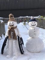 Стивен Хокинговик