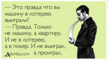 Медведица с медвежатами «вышла в люди» на одном из курортов Красной Поляны