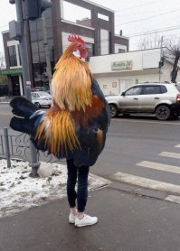 этих забыли с подворотами