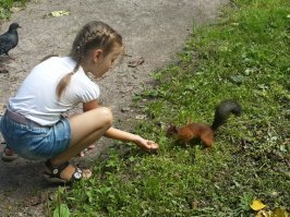 Ага "невероятно пугливые" -автор бы посмотрел, что у меня в городе каждую осень в 2-х наших горпарках творится - белки внаглую тормозят мамочек с колясками и ТРЕБУЮТ орехов ...и горе тебе если без орехов или семечек пришла!