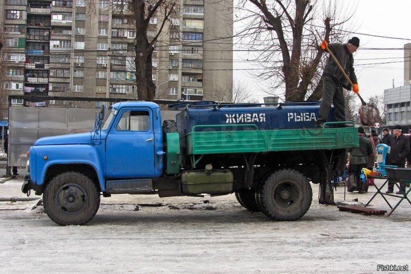 Вот норм рынок был - в любое время года. Очереди умеренные, правда, рыба только речная.  А щас зайдёшь в рыбный - вонища, тухлища. А про колхозный рынок - вообще мрак. По роду профессии был во всех подсобках и складах нашего мухосранского рынка. С тех пор зарёкся там отовариваться. Рыбу только у рыбаков на старушечьем рынке. Правда, летом надо часиков в 5 утра.