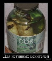 Можно. Только купить дешевле.