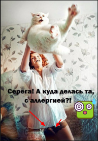 Показалось, фууух