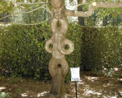 Процесс разработан задолго до него.