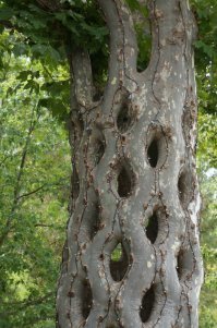 Процесс разработан задолго до него.