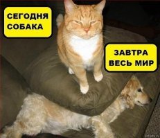 Свежая подборка демотиваторов, которые поднимут вам настроение