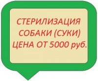 Яжемать. Фельдшер — о том, стоит ли рожать жёнам алкоголиков