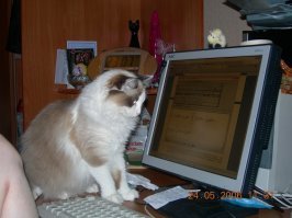 не вопрос.. математику с программированием еще 15 лет назад освоили..