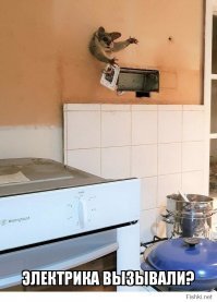 Миляга-поссум полез лакомиться через дырку в стене, но стал австралийским Винни-Пухом
