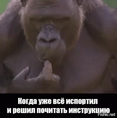 Гифки дня