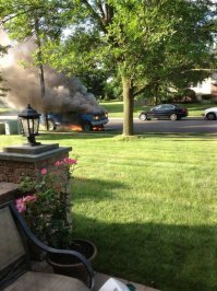 Очень прикольная картинка!