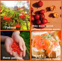 Засолка красной рыбы как тест на интеллект