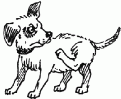 Британка создала шестой палец, который можно приделать на руку. И даже объяснила, зачем