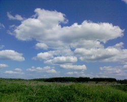 Я на телефон 10 лет назад снял.