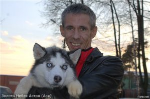 Сегодня я понял,что можно напугать собаку до смерти,просто показав Панина