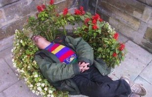 привыкает к земле