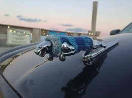 Одевать нужно! Не май месяц! :)