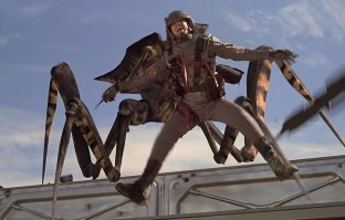 Шокирующее зрелище: паук-волк пожирает геккона