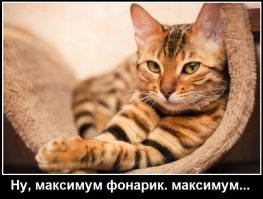 Как мы проучили спесивую продавщицу-хамку